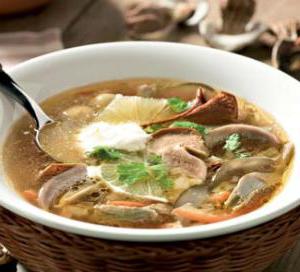 Ароматная солянка с солеными груздями — вкусный и сытный суп по домашнему рецепту