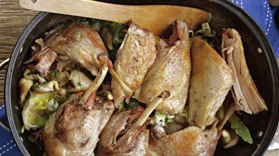 Вкусное и ароматное рагу из утки с вешенками и пряными травами