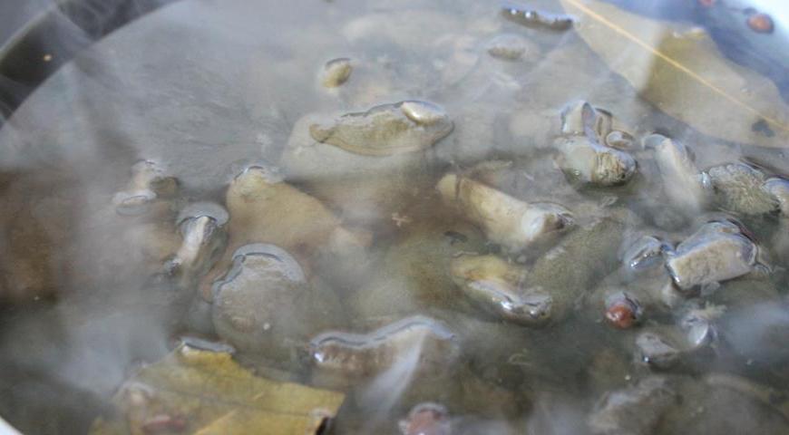 Добавьте в кипящий маринад предварительно сваренные моховики и варите вместе еще 5 минут, периодически помешивая.