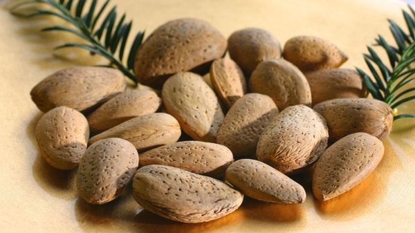 Бразильский орех: польза, применение и интересные факты