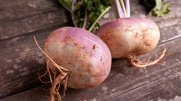 Брюква: польза, выращивание, применение и интересные факты