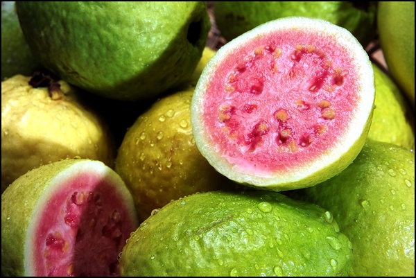 Гуава: экзотический фрукт с богатыми вкусовыми и полезными свойствами