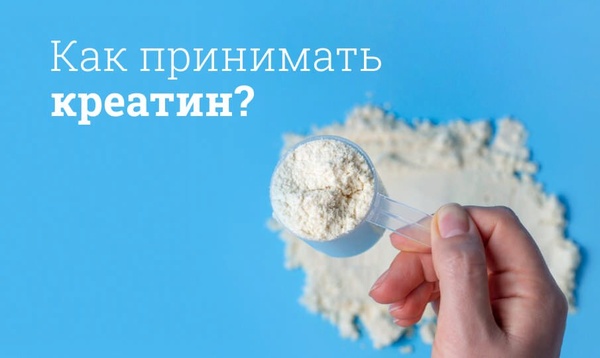 Как правильно пить креатин: полное руководство для эффективных тренировок и правильного приёма добавки