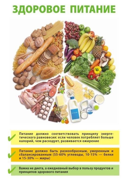 Какие продукты и блюда продлевают жизнь: полный гид по оздоровительному питанию