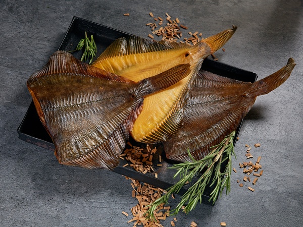 Камбала: особенности, виды, питание и способы ловли