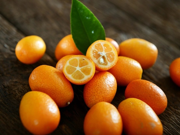 Камкват: полное руководство по экзотическому цитрусовому плоду