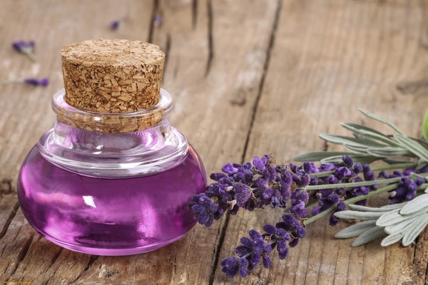 Лавандовое масло: полезные свойства, применение и секреты красоты