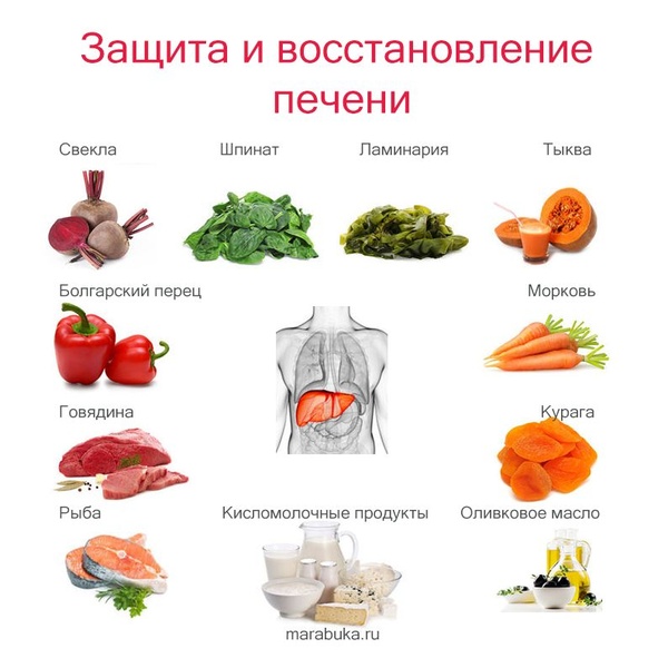 Лечение печени с помощью правильного питания: меню на неделю и полезные советы