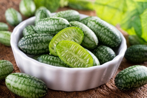 Мелотрия: всё, что нужно знать о тропической лиане с необычными плодами