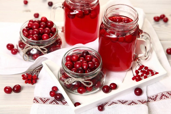 Морс брусничный: польза, приготовление и применение в кулинарии и медицине