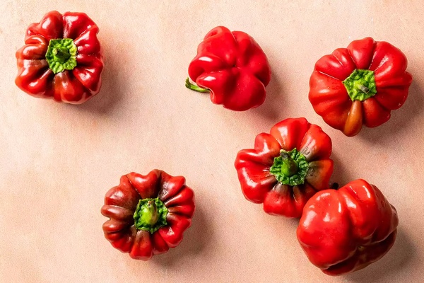 Пименто: полезные свойства, применение и интересные факты о сладком перце