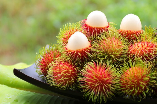 Пулазан: Уникальный фрукт с тропиков, который стоит попробовать