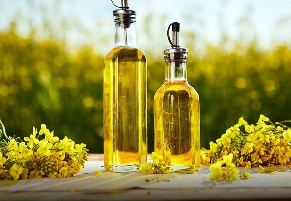 Рапсовое масло: польза, применение и выбор качественного продукта