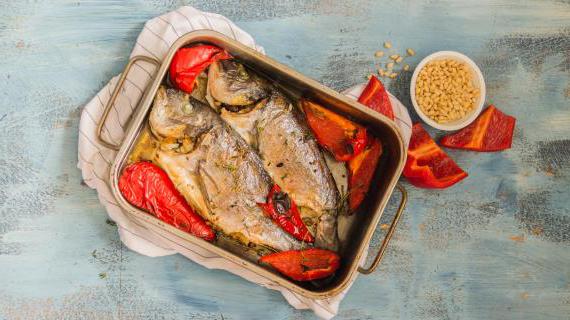 Рецепт приготовления дорады по-турецки: вкусный и простой способ