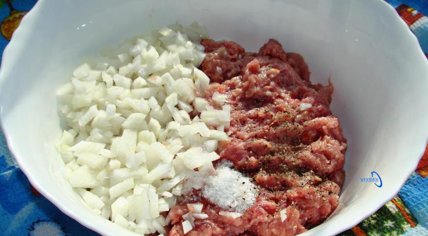 Мясной фарш перемешайте с мелко нашинкованной второй луковицей, посолите и поперчите по вкусу.