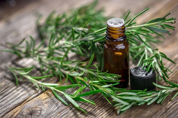 Розмариновое масло: польза, применение и секреты эффективного использования