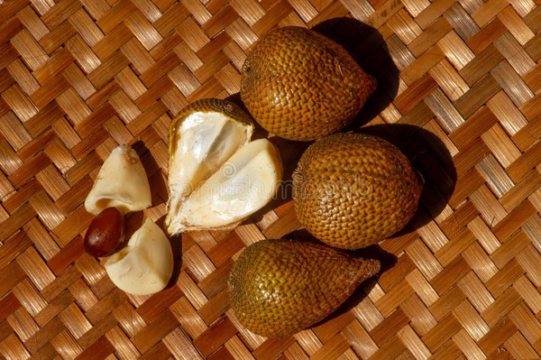 Салакка: полезные свойства, кулинарные рецепты и особенности рыбы