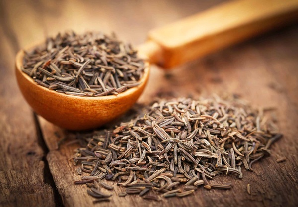 Тмин: польза, применение и интересные факты о древней специи