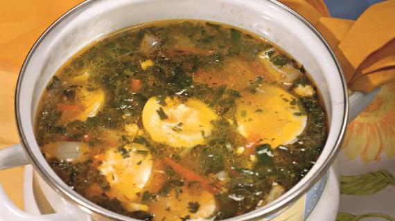 Традиционный украинский зеленый борщ с мясом на косточке