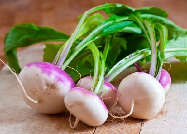 Турнепс: полезные свойства, применение и выращивание корнеплода