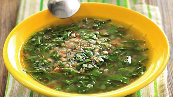 Зеленые постные щи с крапивой и снытью — вкусное и полезное блюдо